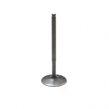 GM intake valve 6mm