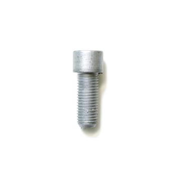 GM head screw M10x25x1.25 10.9