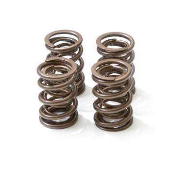 HQS1 valve spring set