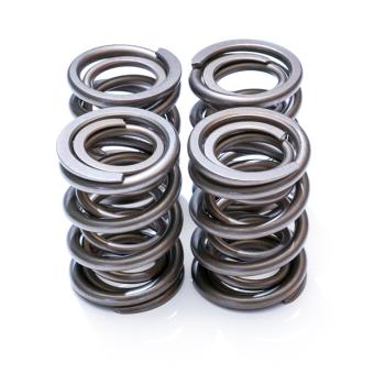 HQS2 valve spring set