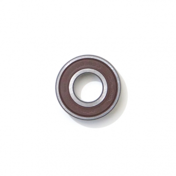 SKF bearing 6202