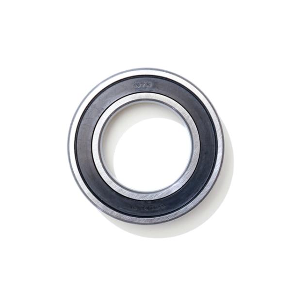 NTN bearing 6007